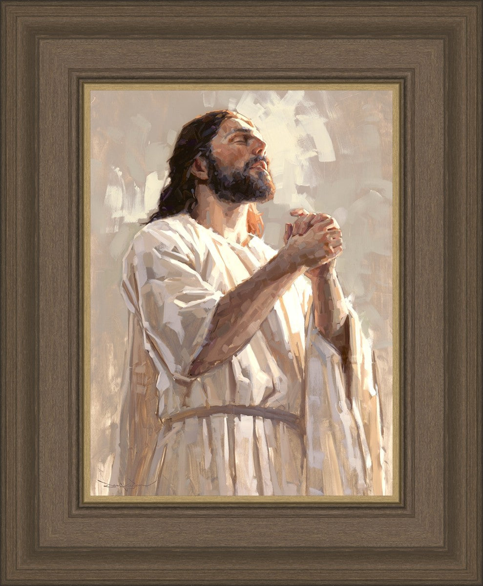 Colors of Salvation