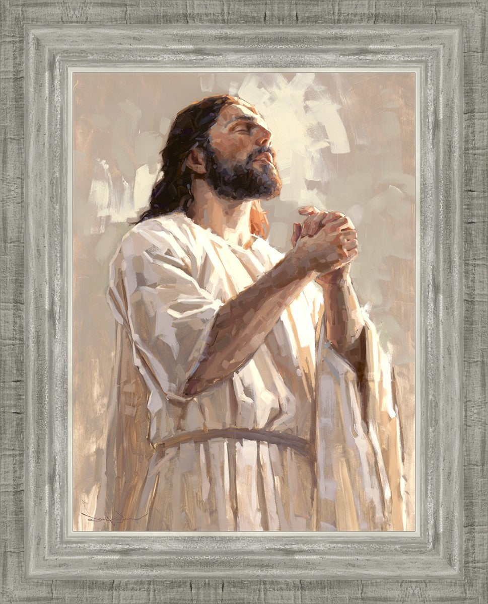 Colors of Salvation