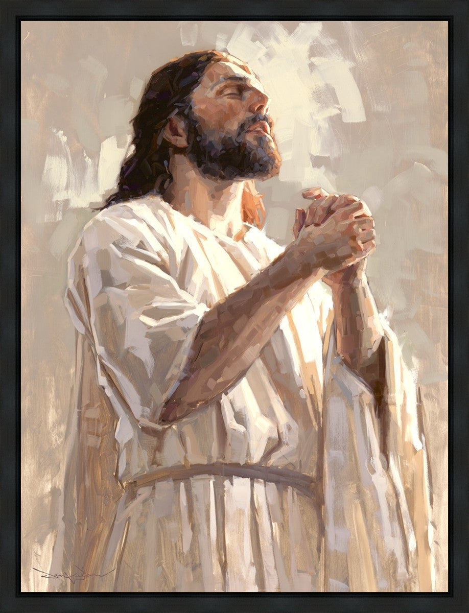 Colors of Salvation