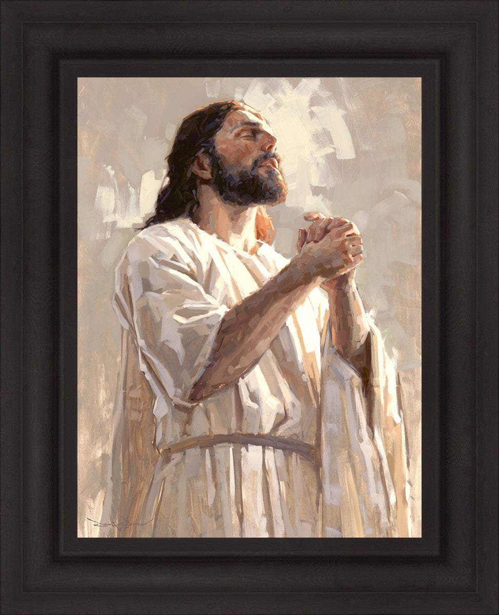 Colors of Salvation