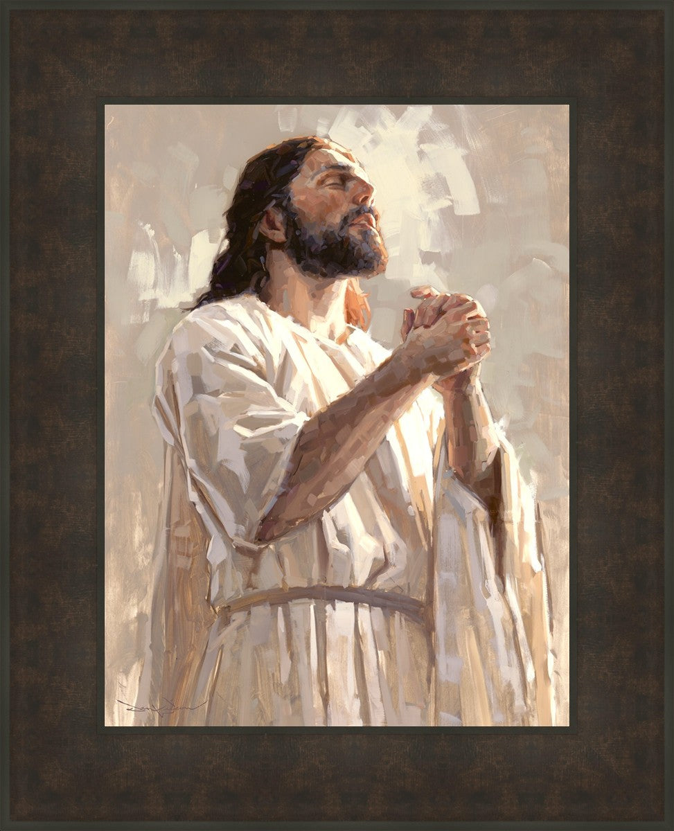 Colors of Salvation