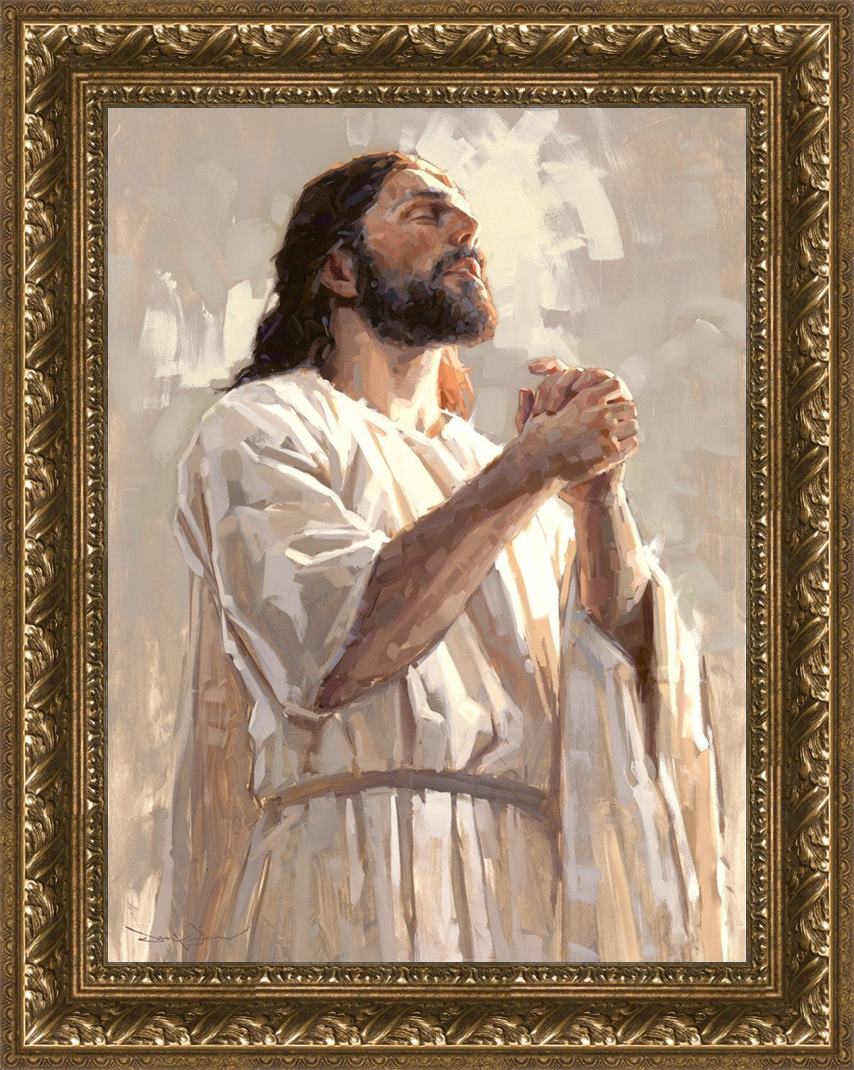 Colors of Salvation