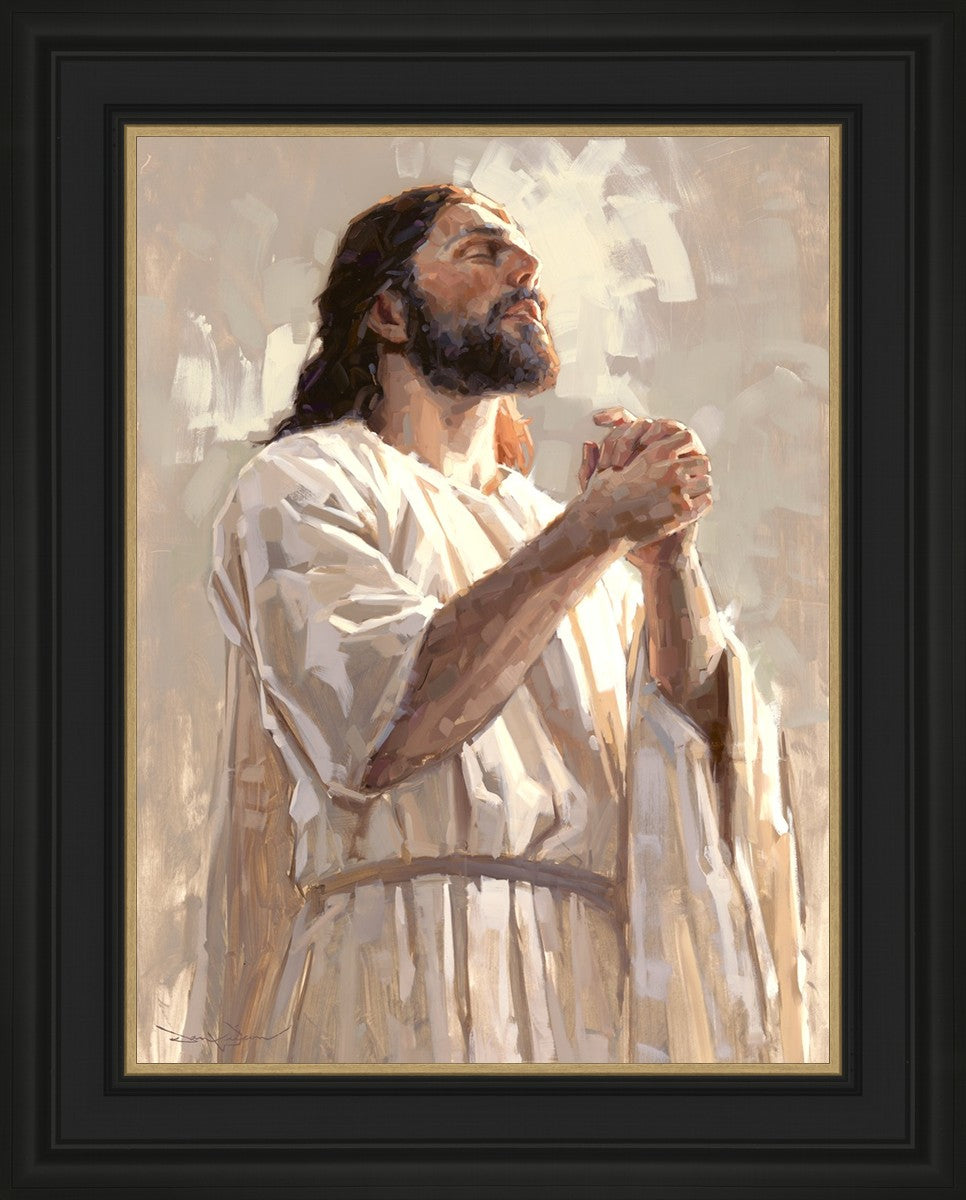 Colors of Salvation