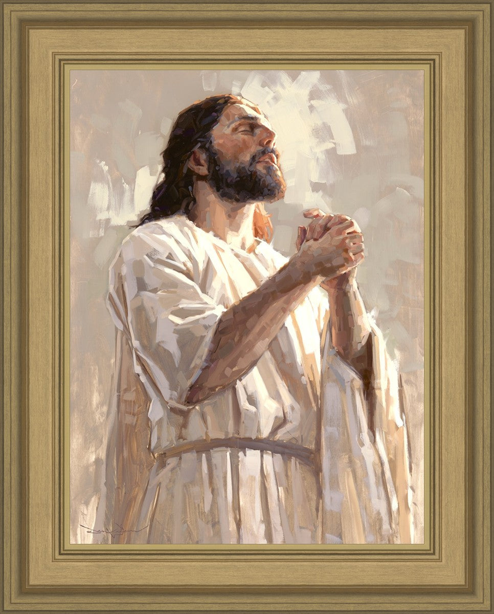 Colors of Salvation