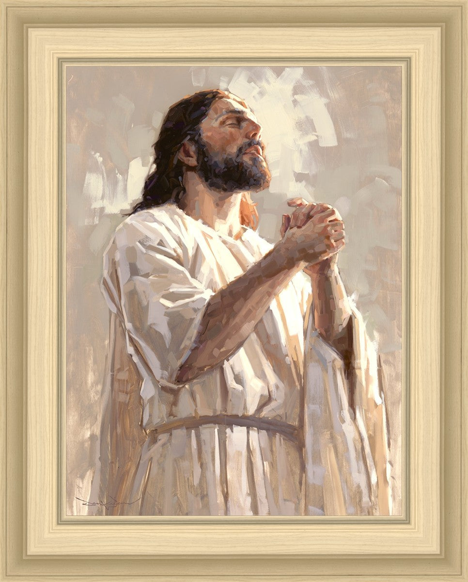Colors of Salvation
