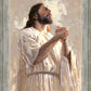 Colors of Salvation