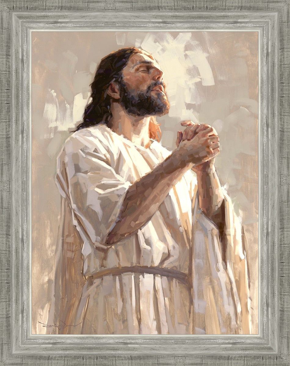 Colors of Salvation
