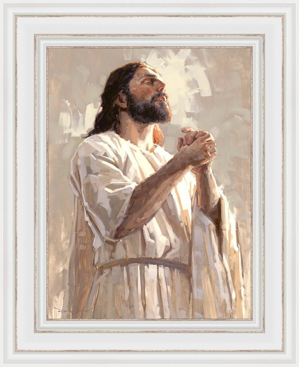 Colors of Salvation