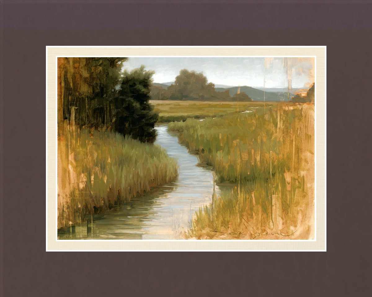 Peaceful Stream