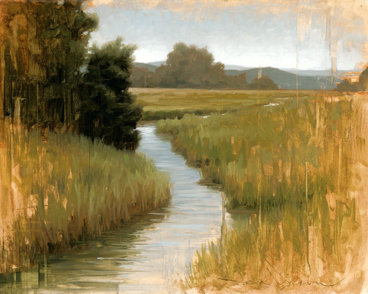 Peaceful Stream