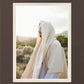 My Redeemer