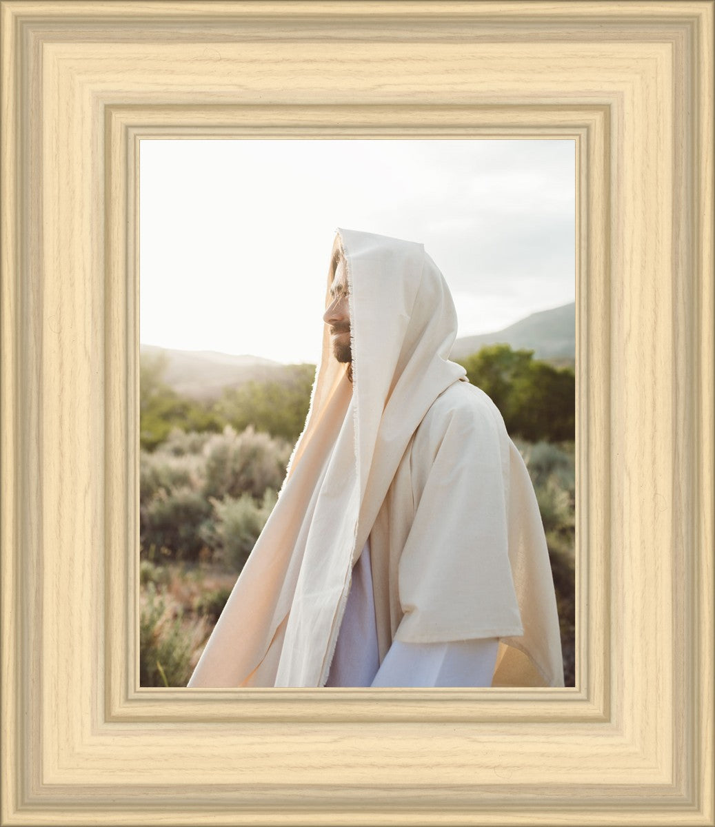 My Redeemer