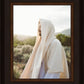My Redeemer
