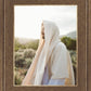 My Redeemer