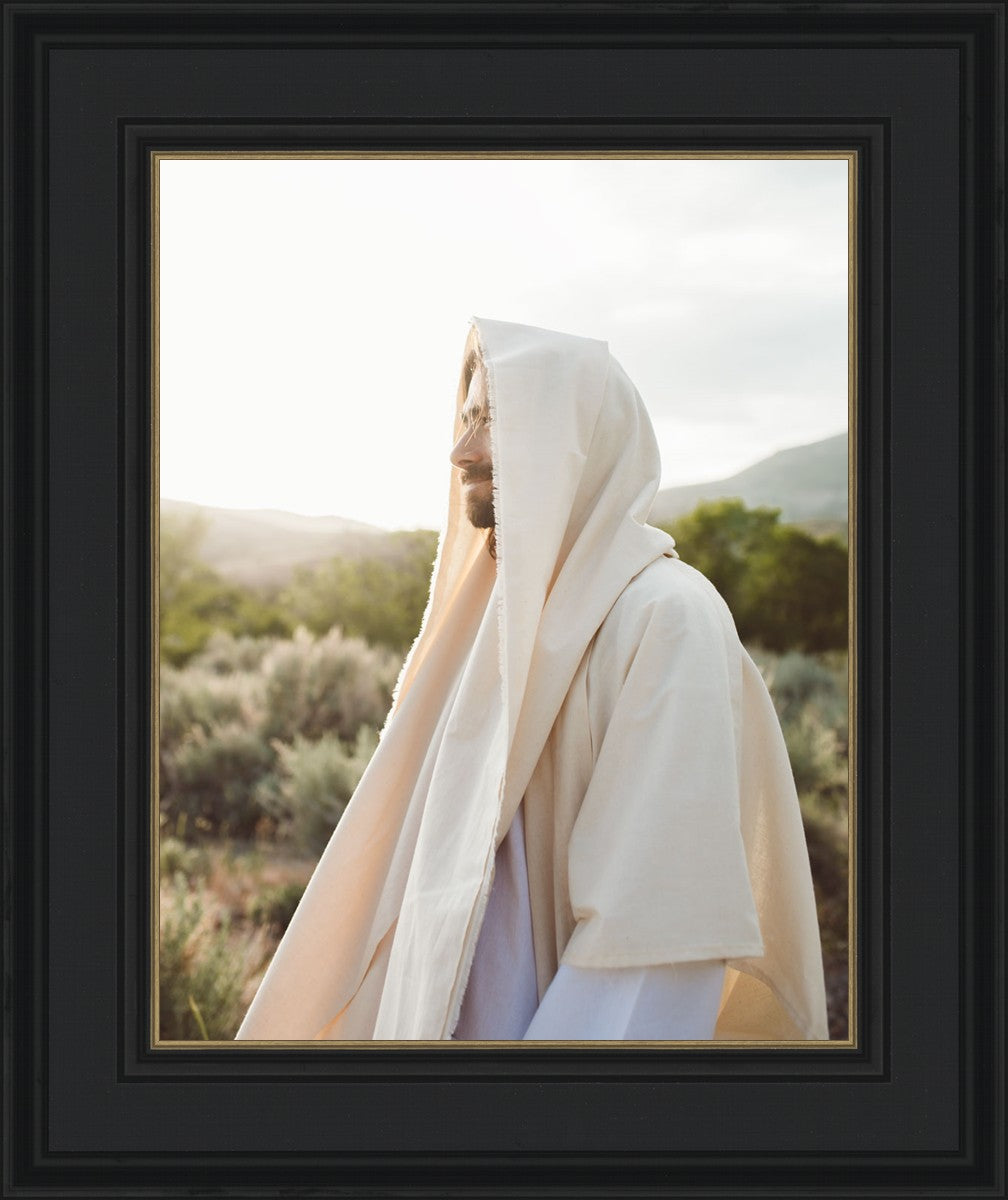 My Redeemer