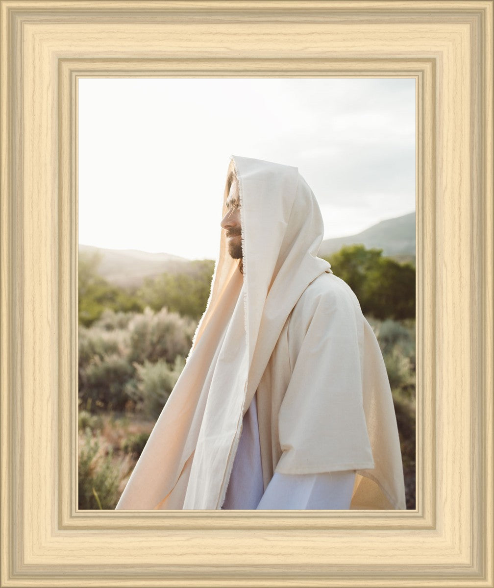 My Redeemer