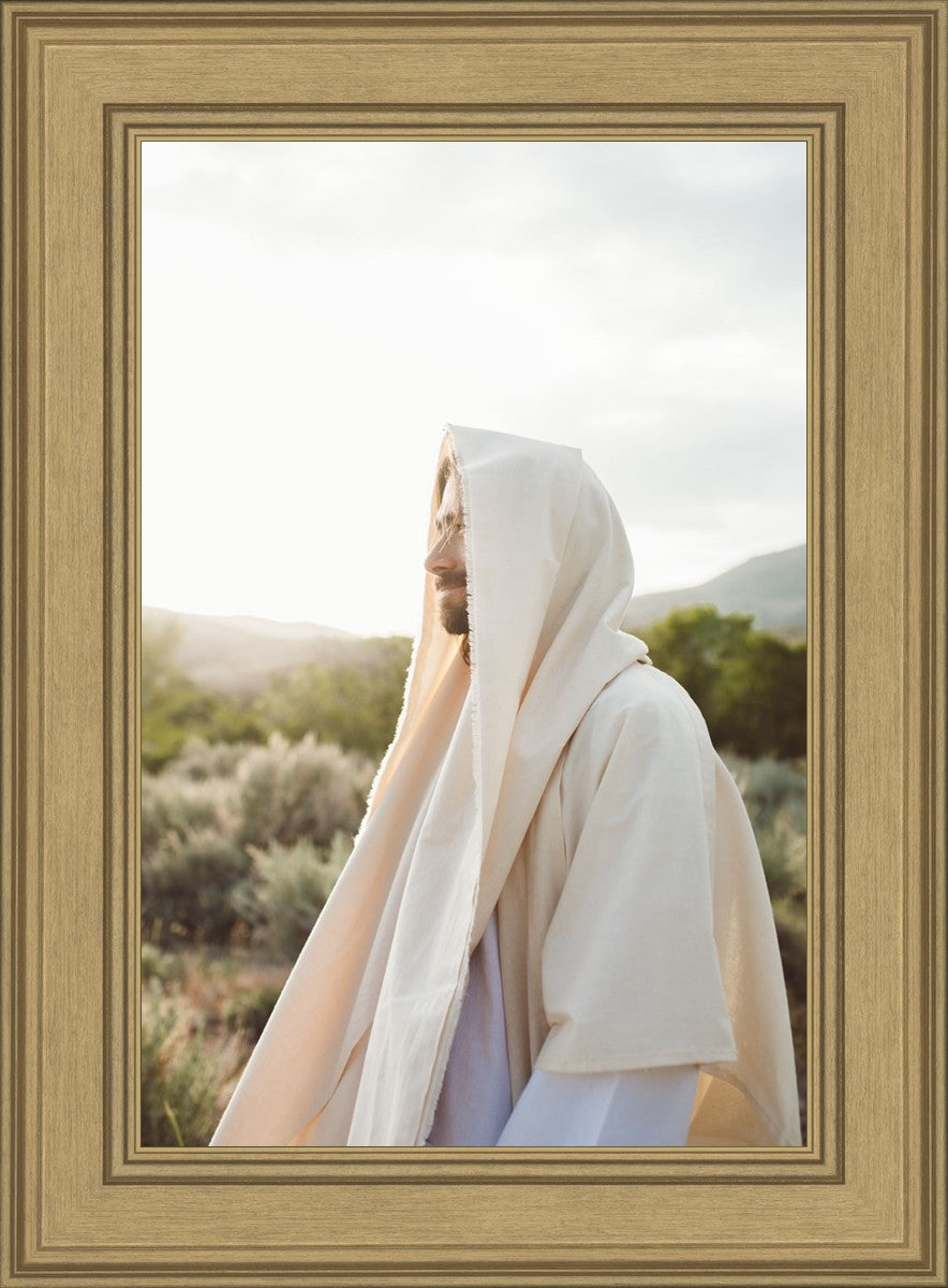 My Redeemer