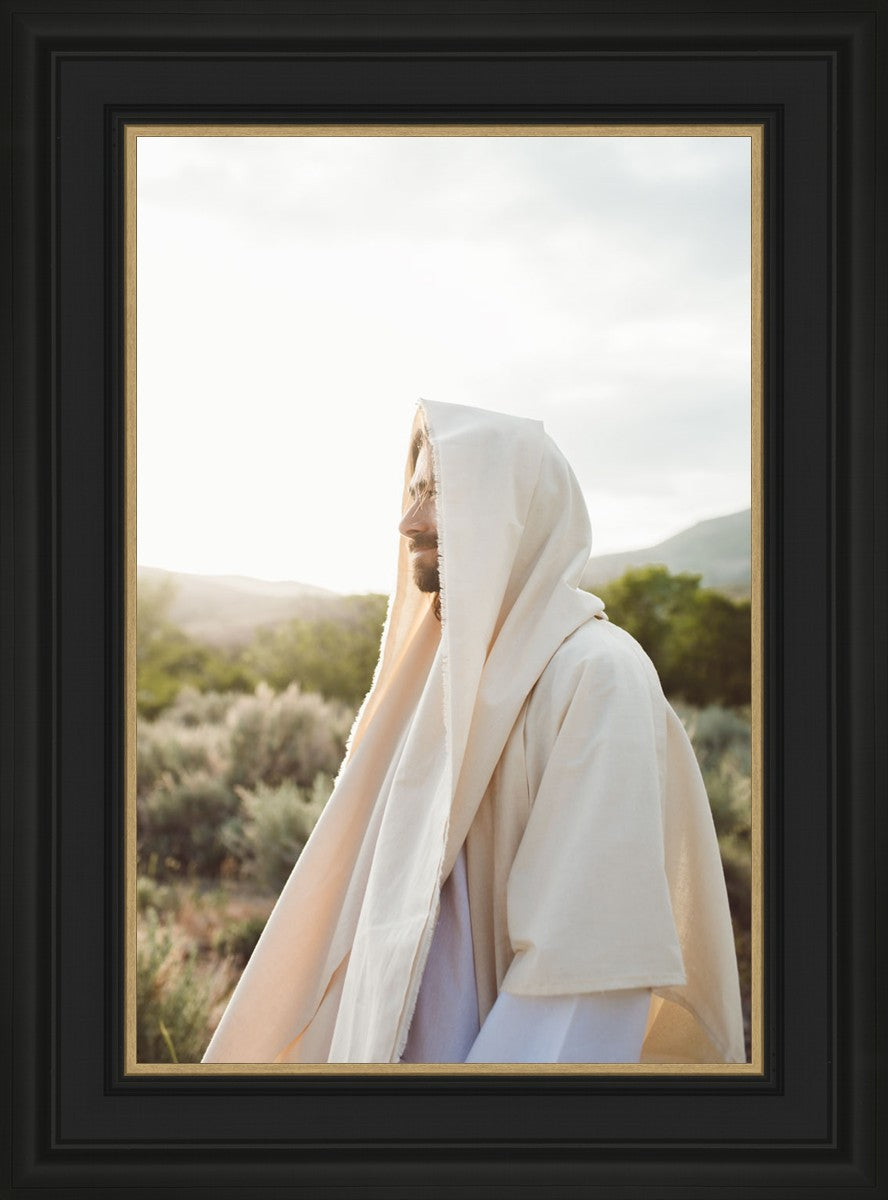 My Redeemer