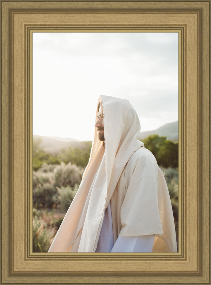 My Redeemer