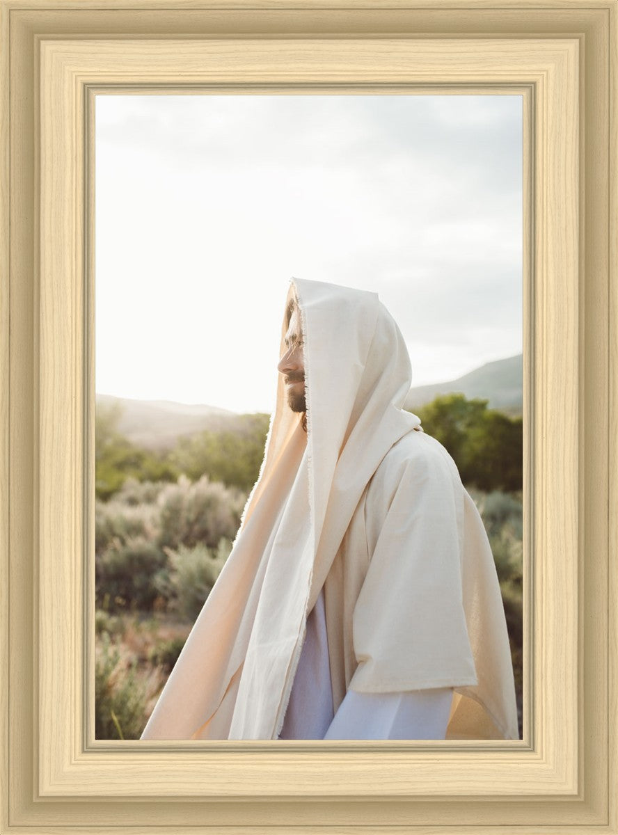 My Redeemer