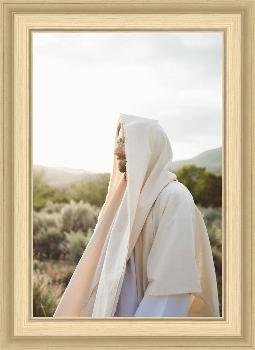 My Redeemer