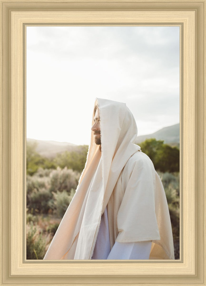 My Redeemer
