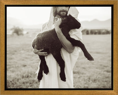 In His Hands Gallery Wrap