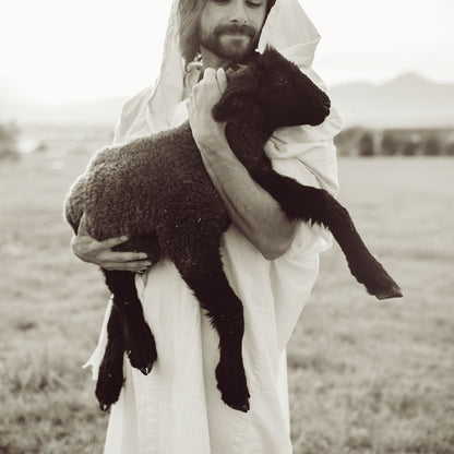 In His Hands Gallery Wrap