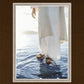 By Faith I Walk