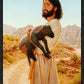 Like Unto Christ, Seek They That Want