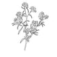 Peach Tree Flowers