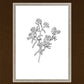 Peach Tree Flowers