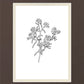 Peach Tree Flowers