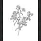 Peach Tree Flowers