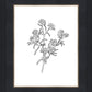 Peach Tree Flowers