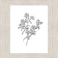 Peach Tree Flowers