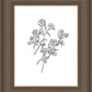 Peach Tree Flowers