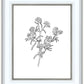 Peach Tree Flowers