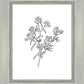 Peach Tree Flowers