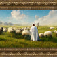 Counting Sheep