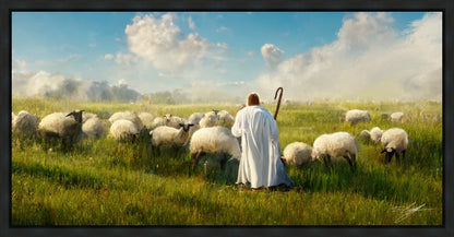 Counting Sheep Gallery Wrap