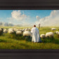 Counting Sheep