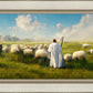Counting Sheep