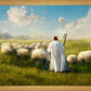 Counting Sheep