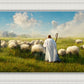 Counting Sheep