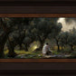 Gethsemane