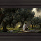 Gethsemane