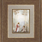 My Own Sacred Grove