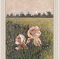 Prayer, Like a Flower