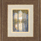 Tabernacle of Trees